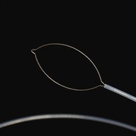 Daanka noogu nooca jirka ee shisheeye